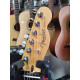 FENDER AMERICAN PROFESSIONAL TELECASTER RW 2-Color SUNBURST 2017 - SOLD!