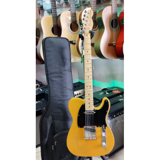 FENDER TELECASTER AMERICAN PERFORMER BUTTERSCOTCH BLONDE W/BAG 2nd - SOLD!